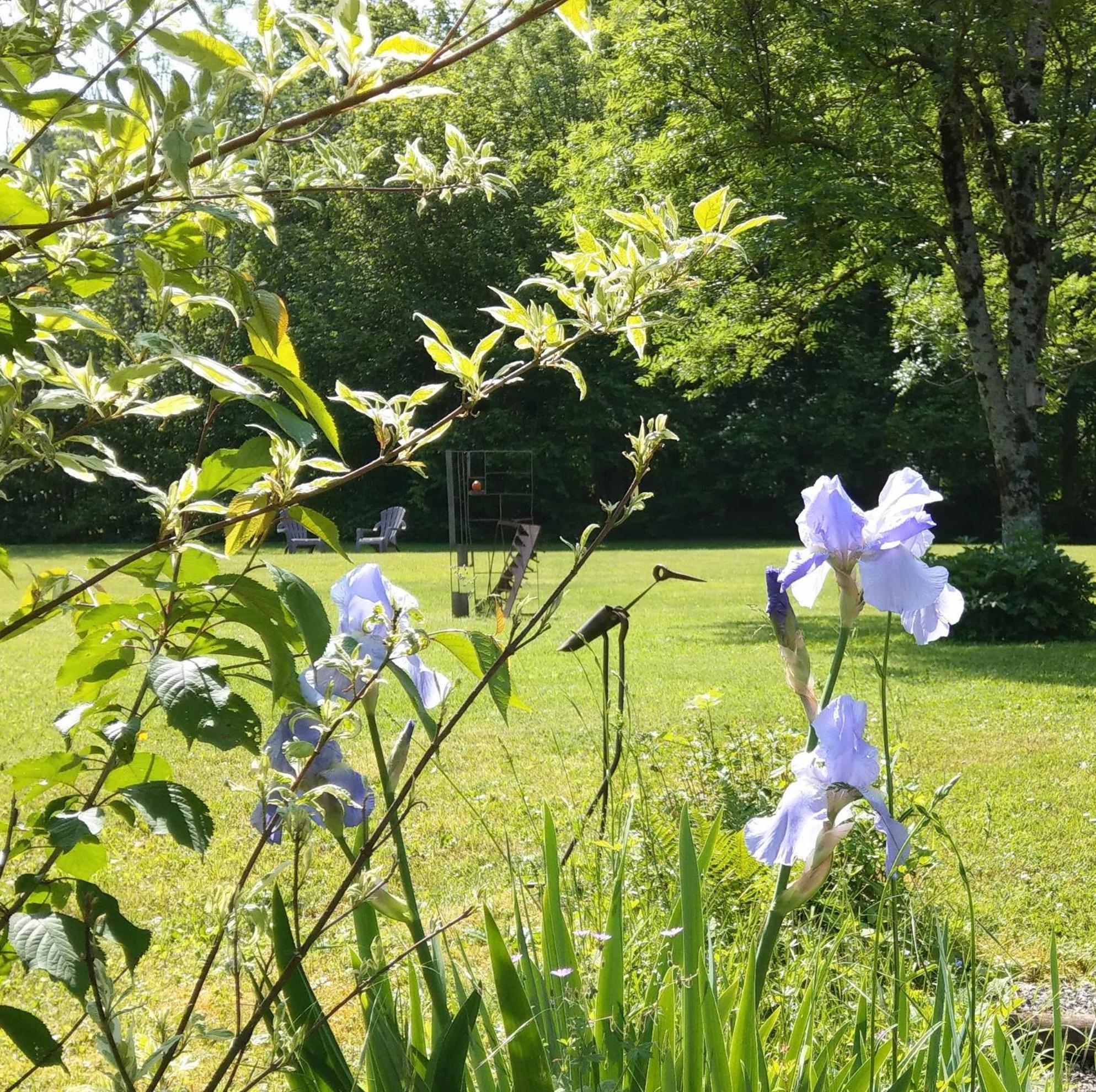 Domaine De L'Olifant Bed & Breakfast Champanges Екстериор снимка