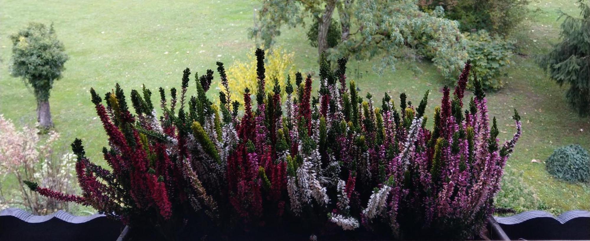 Domaine De L'Olifant Bed & Breakfast Champanges Екстериор снимка