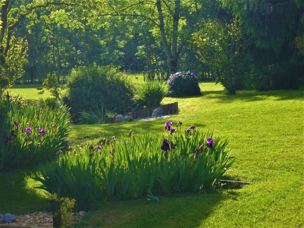 Domaine De L'Olifant Bed & Breakfast Champanges Екстериор снимка