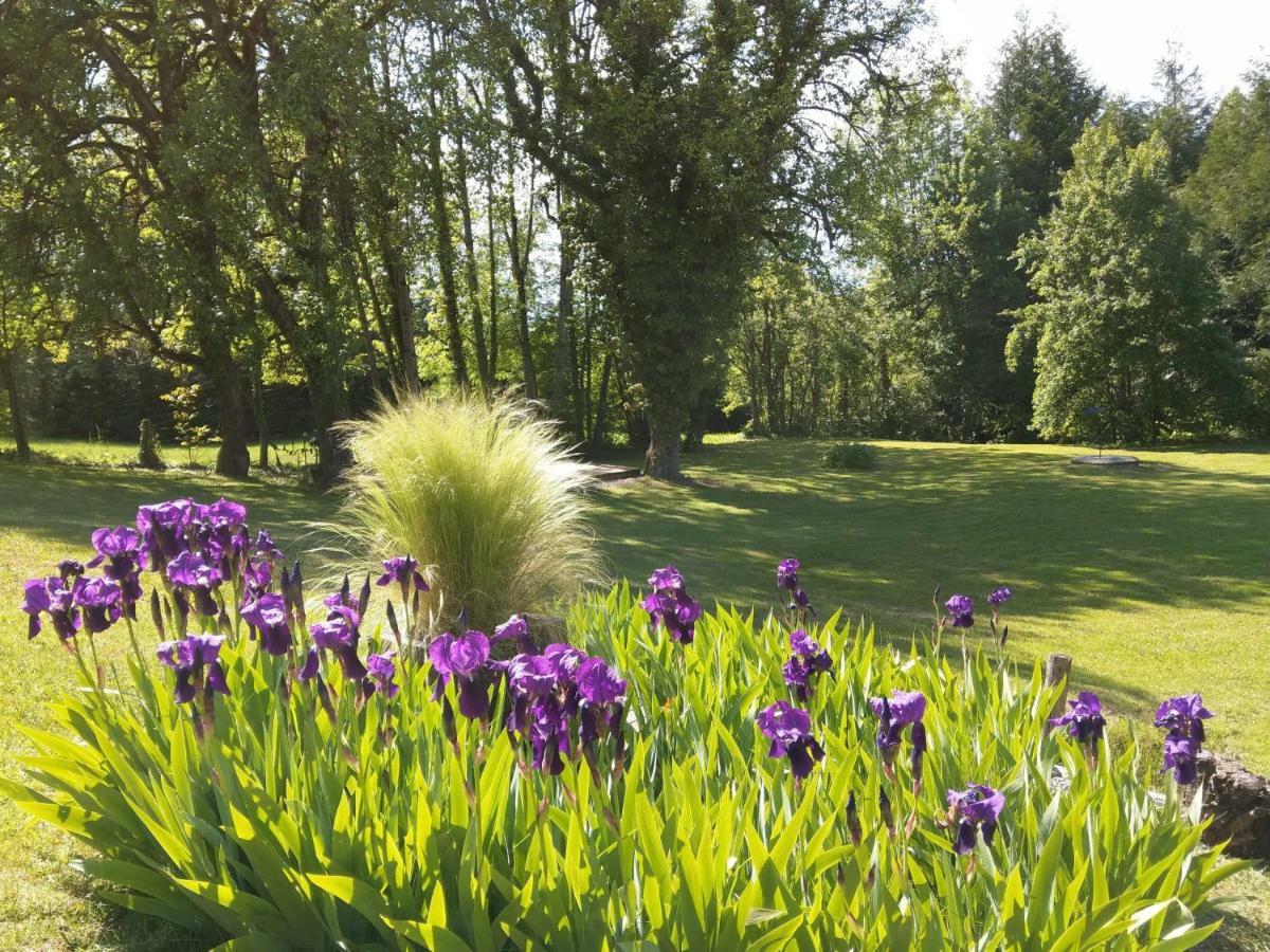 Domaine De L'Olifant Bed & Breakfast Champanges Екстериор снимка