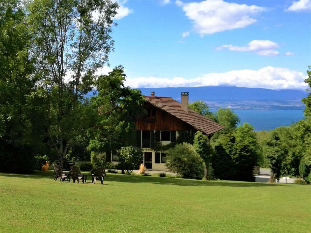Domaine De L'Olifant Bed & Breakfast Champanges Екстериор снимка
